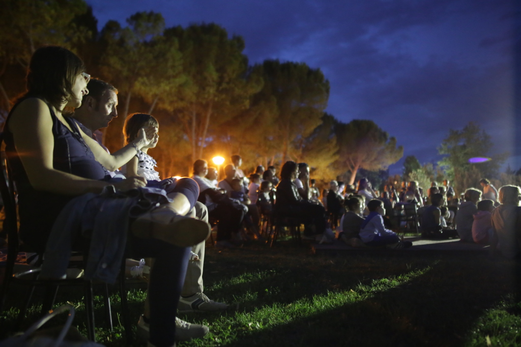 Il pubblico